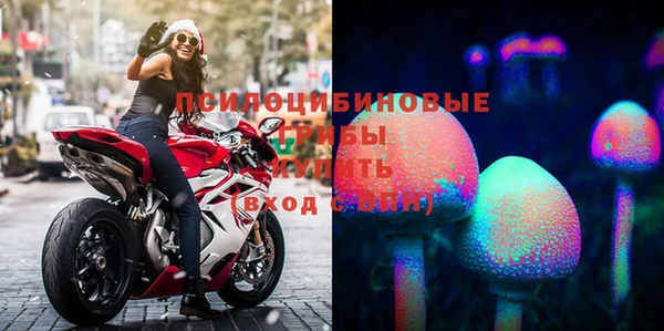индика Куйбышев