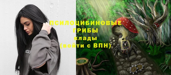 индика Куйбышев